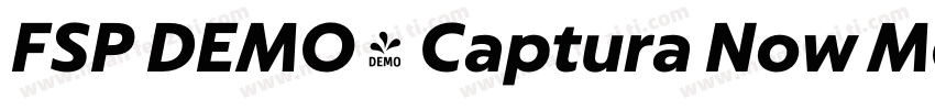 FSP DEMO - Captura Now Medium字体转换